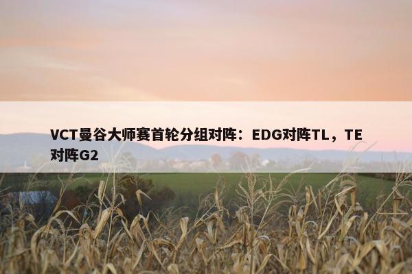 VCT曼谷大师赛首轮分组对阵：EDG对阵TL，TE对阵G2