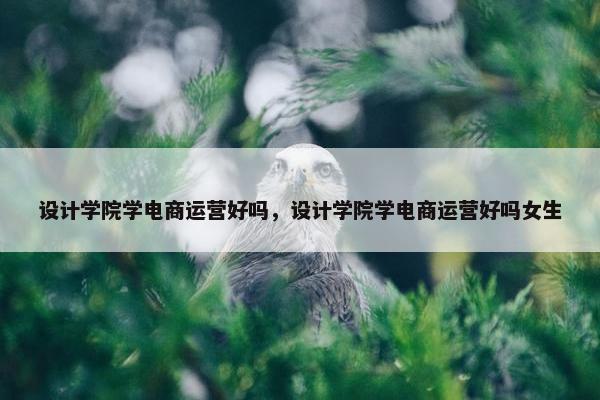 设计学院学电商运营好吗，设计学院学电商运营好吗女生