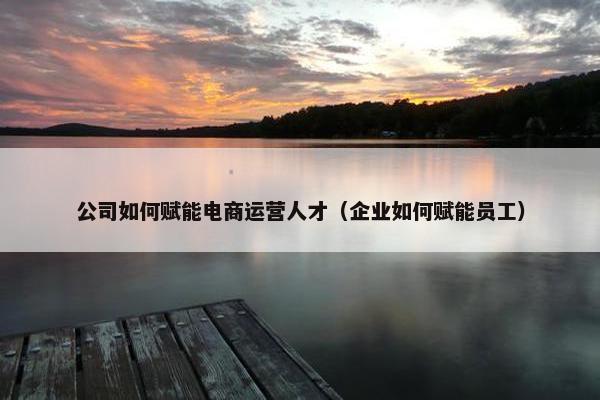 公司如何赋能电商运营人才（企业如何赋能员工）