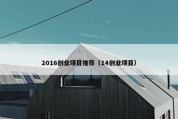 2016创业项目推荐（14创业项目）