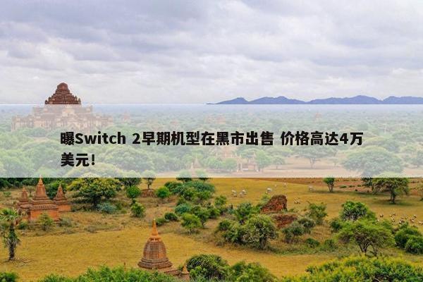 曝Switch 2早期机型在黑市出售 价格高达4万美元！