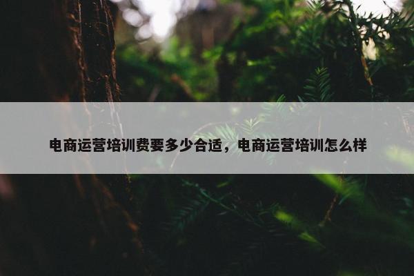 电商运营培训费要多少合适，电商运营培训怎么样