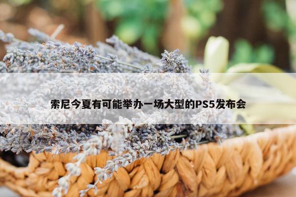 索尼今夏有可能举办一场大型的PS5发布会