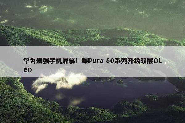 华为最强手机屏幕！曝Pura 80系列升级双层OLED