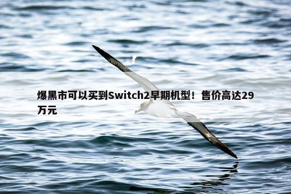 爆黑市可以买到Switch2早期机型！售价高达29万元