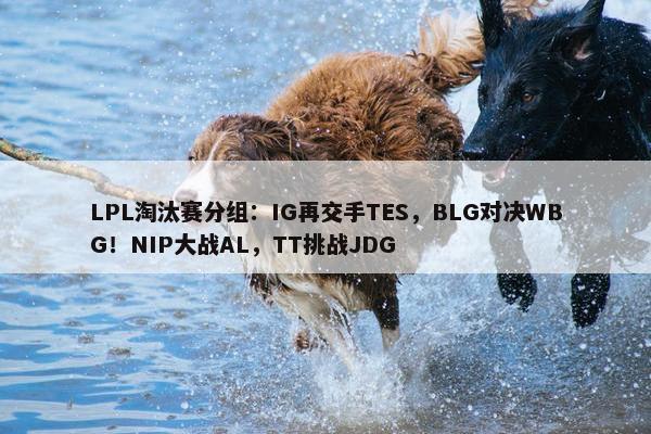 LPL淘汰赛分组：IG再交手TES，BLG对决WBG！NIP大战AL，TT挑战JDG