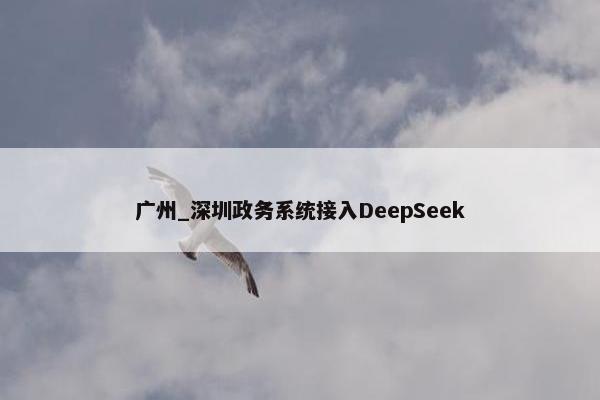 广州_深圳政务系统接入DeepSeek