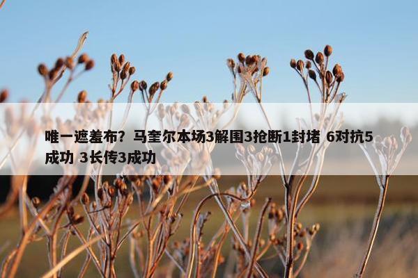 唯一遮羞布？马奎尔本场3解围3抢断1封堵 6对抗5成功 3长传3成功