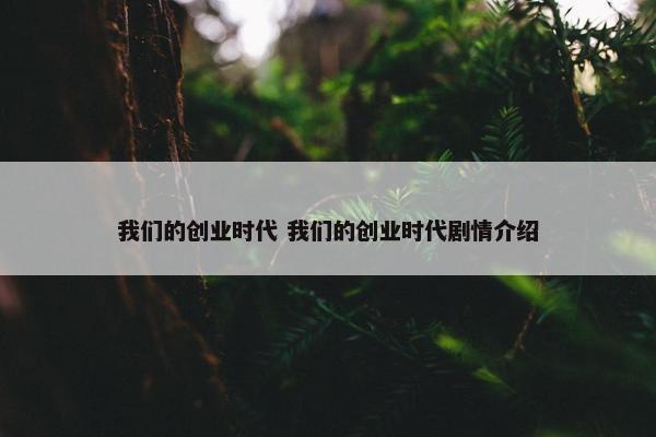 我们的创业时代 我们的创业时代剧情介绍