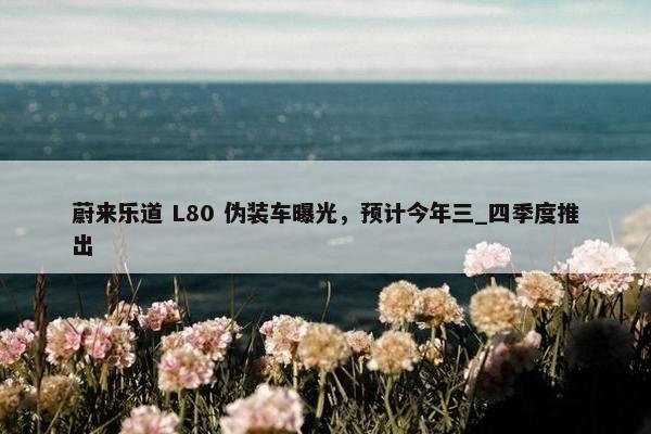 蔚来乐道 L80 伪装车曝光，预计今年三_四季度推出