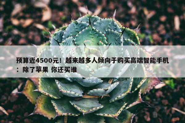 预算近4500元！越来越多人倾向于购买高端智能手机：除了苹果 你还买谁