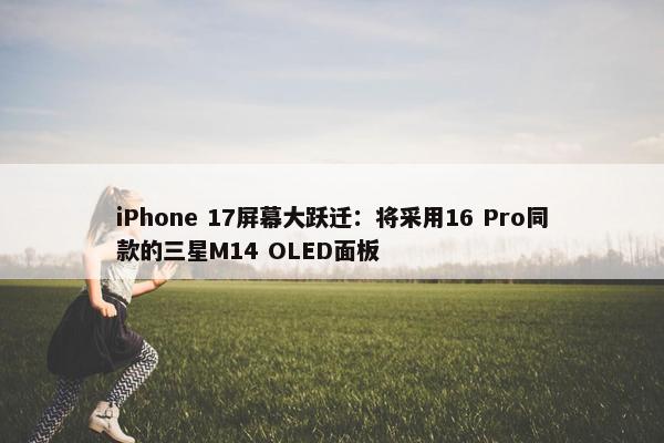 iPhone 17屏幕大跃迁：将采用16 Pro同款的三星M14 OLED面板