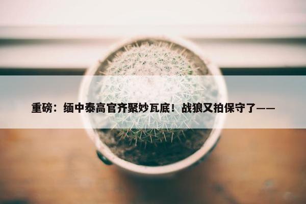 重磅：缅中泰高官齐聚妙瓦底！战狼又拍保守了——