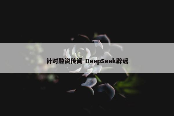 针对融资传闻 DeepSeek辟谣