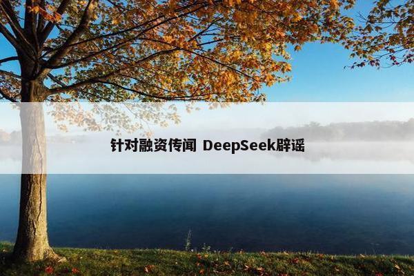 针对融资传闻 DeepSeek辟谣