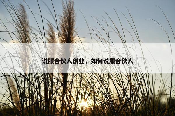 说服合伙人创业，如何说服合伙人