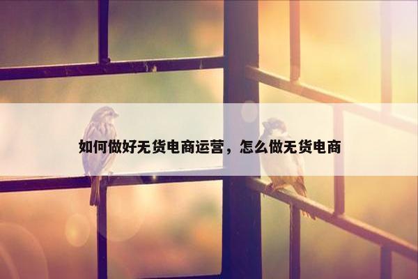 如何做好无货电商运营，怎么做无货电商