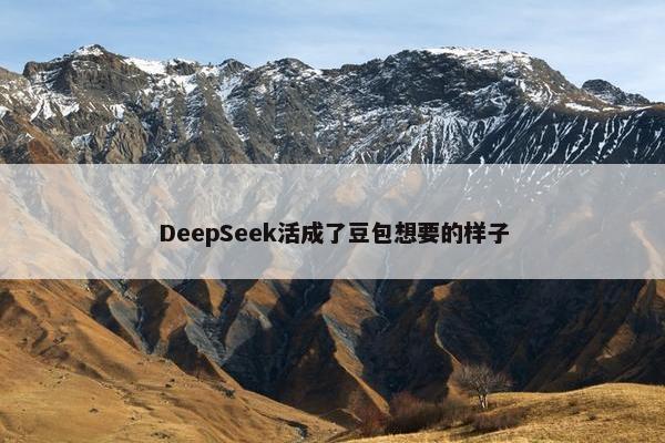 DeepSeek活成了豆包想要的样子