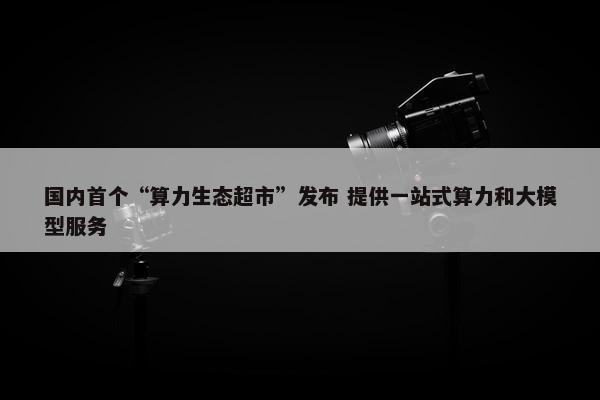 国内首个“算力生态超市”发布 提供一站式算力和大模型服务