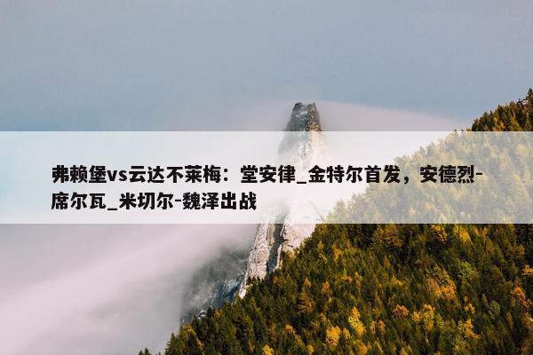 弗赖堡vs云达不莱梅：堂安律_金特尔首发，安德烈-席尔瓦_米切尔-魏泽出战