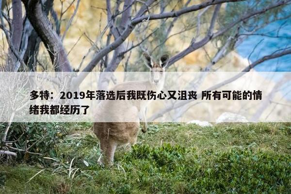 多特：2019年落选后我既伤心又沮丧 所有可能的情绪我都经历了