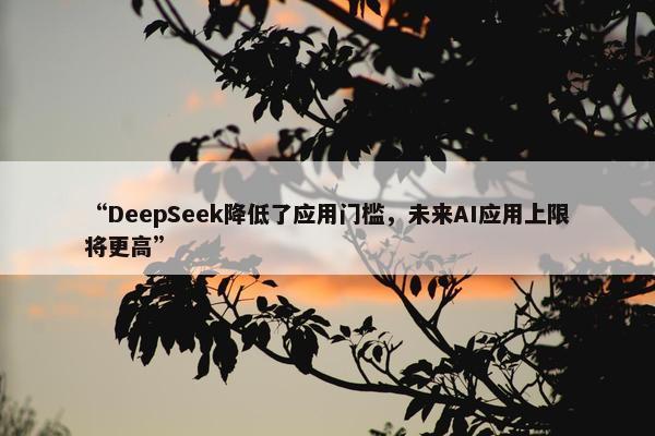 “DeepSeek降低了应用门槛，未来AI应用上限将更高”