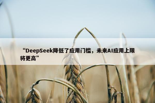 “DeepSeek降低了应用门槛，未来AI应用上限将更高”