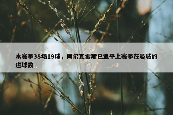 本赛季38场19球，阿尔瓦雷斯已追平上赛季在曼城的进球数