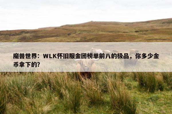 魔兽世界：WLK怀旧服金团榜单前八的极品，你多少金币拿下的？