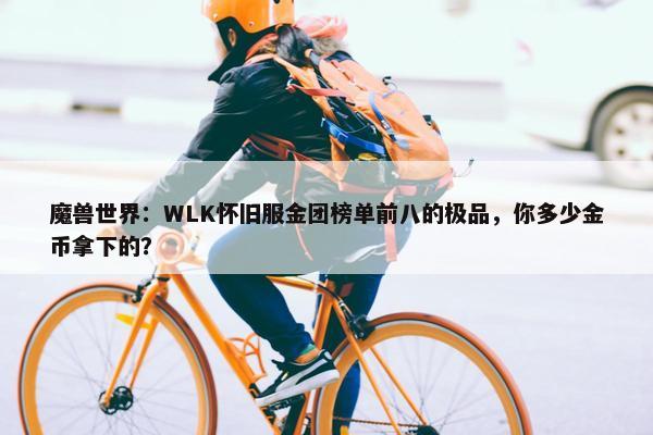 魔兽世界：WLK怀旧服金团榜单前八的极品，你多少金币拿下的？