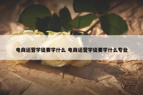 电商运营学徒要学什么 电商运营学徒要学什么专业