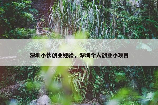 深圳小伙创业经验，深圳个人创业小项目