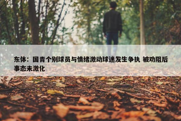 东体：国青个别球员与情绪激动球迷发生争执 被劝阻后事态未激化