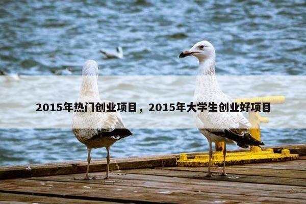 2015年热门创业项目，2015年大学生创业好项目