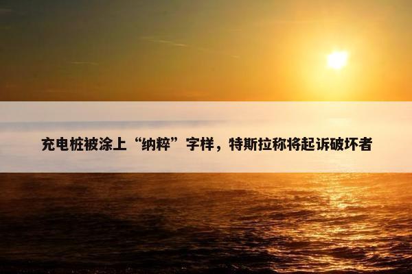 充电桩被涂上“纳粹”字样，特斯拉称将起诉破坏者