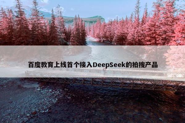 百度教育上线首个接入DeepSeek的拍搜产品