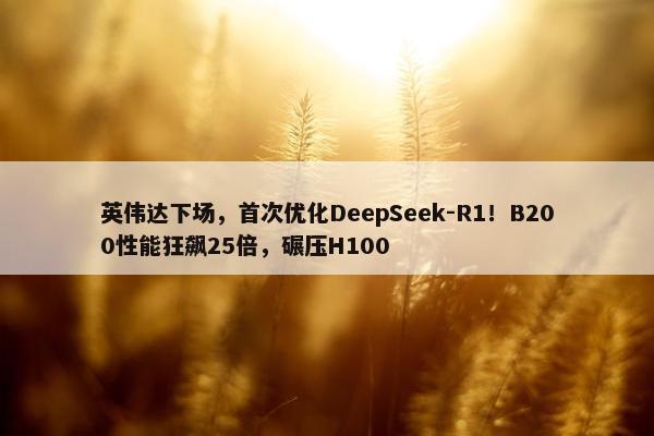 英伟达下场，首次优化DeepSeek-R1！B200性能狂飙25倍，碾压H100