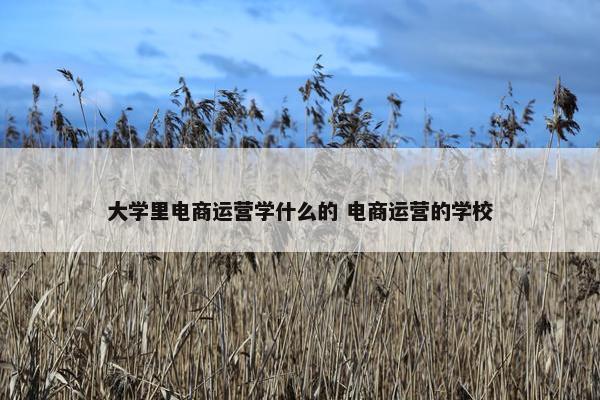 大学里电商运营学什么的 电商运营的学校