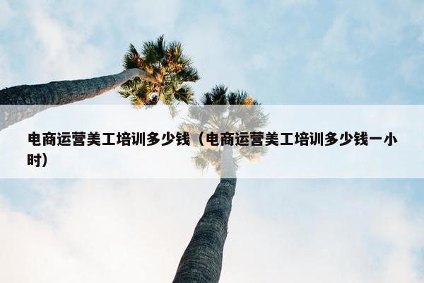 电商运营美工培训多少钱（电商运营美工培训多少钱一小时）