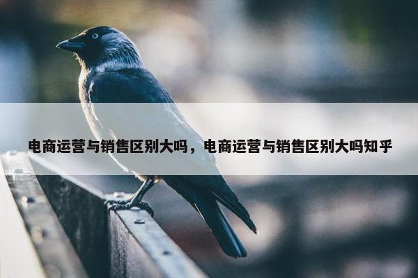 电商运营与销售区别大吗，电商运营与销售区别大吗知乎