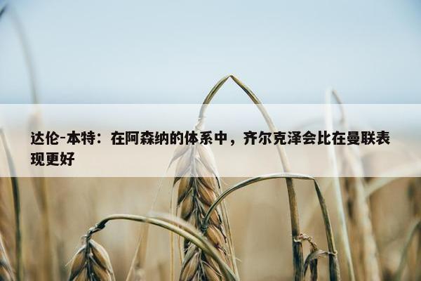 达伦-本特：在阿森纳的体系中，齐尔克泽会比在曼联表现更好