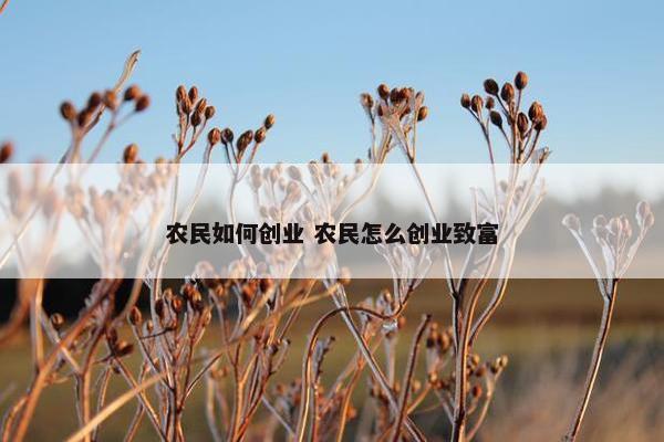 农民如何创业 农民怎么创业致富