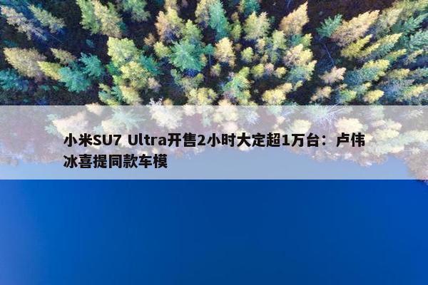 小米SU7 Ultra开售2小时大定超1万台：卢伟冰喜提同款车模