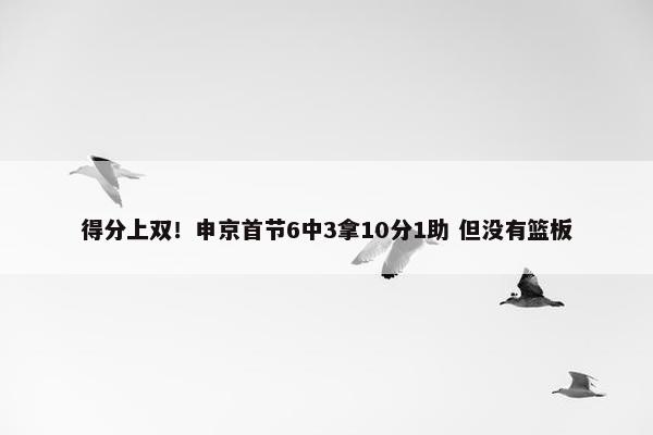 得分上双！申京首节6中3拿10分1助 但没有篮板