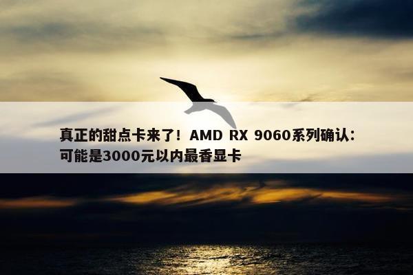 真正的甜点卡来了！AMD RX 9060系列确认：可能是3000元以内最香显卡