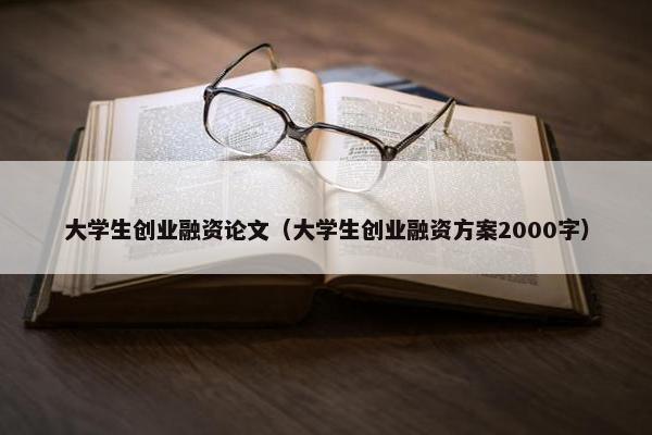 大学生创业融资论文（大学生创业融资方案2000字）