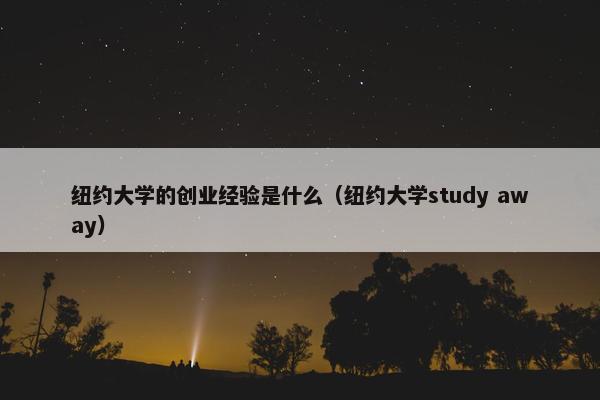 纽约大学的创业经验是什么（纽约大学study away）