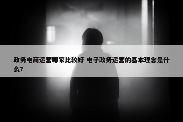 政务电商运营哪家比较好 电子政务运营的基本理念是什么?