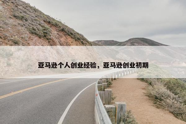 亚马逊个人创业经验，亚马逊创业初期