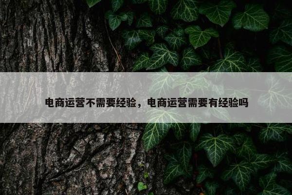 电商运营不需要经验，电商运营需要有经验吗